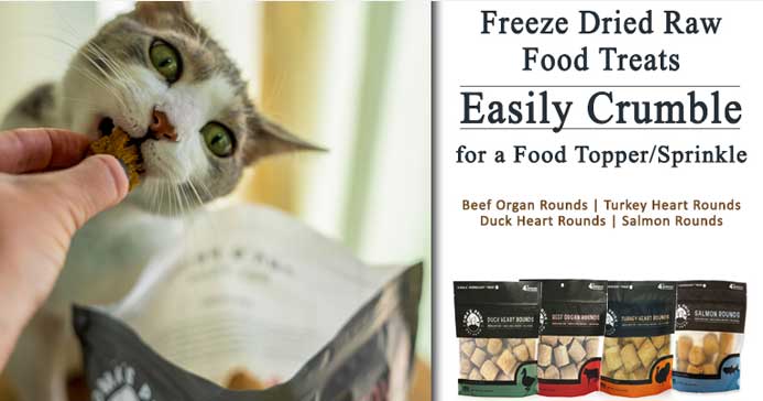 All Natural Cat Treats and Food Toppers